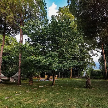 Shore Of Sapanca Cati Lakehouse *