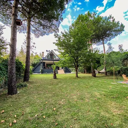 Villa Shore Of Sapanca Cati Lakehouse