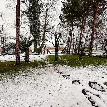 Shore Of Sapanca Cati Lakehouse Villa Kartepe