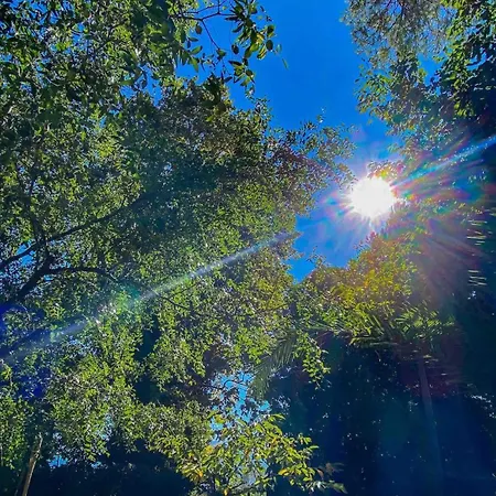 Shore Of Sapanca Cati Lakehouse Картепе