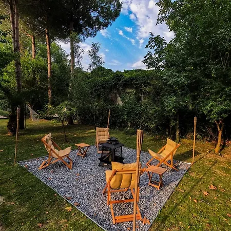 Shore Of Sapanca Cati Lakehouse Villa *