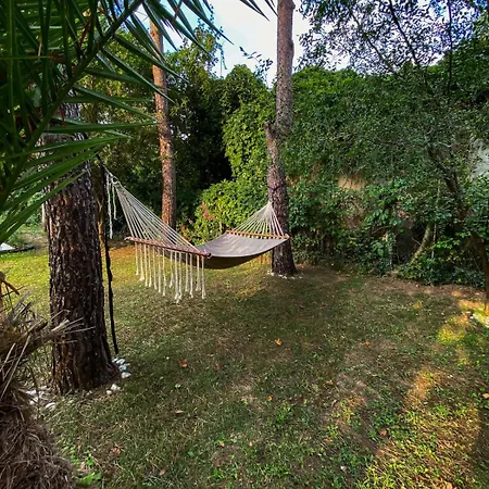 Shore Of Sapanca Cati Lakehouse Villa