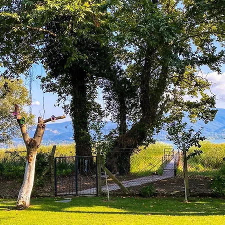 Вилла Shore Of Sapanca Cati Lakehouse Картепе