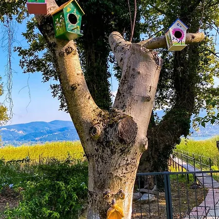Villa Shore Of Sapanca Cati Lakehouse Kartepe